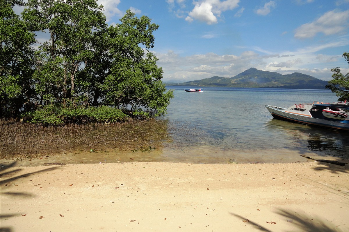 Jasa posting lowongan Manado